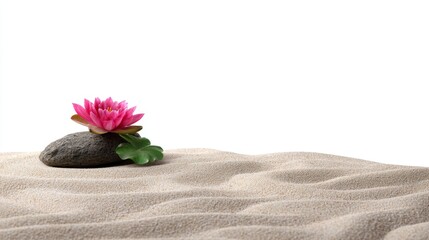 Tranquil Pink Lotus Flower on Smooth Sand with Decorative Rock and Leaf for Relaxation and Zen Design