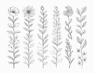 Retro Floral Line Borders Set for Nostalgic Greeting Cards