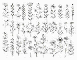 Retro Floral Line Borders Set for Nostalgic Greeting Cards