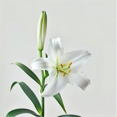 Obraz premium Isolated Easter elements on white background