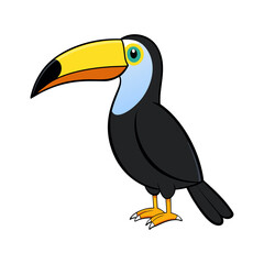 Obraz premium Cartoon toucan bird illustration tropical wildlife