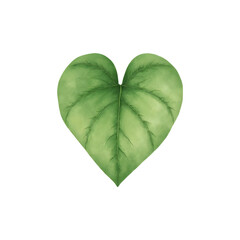 Watercolor green leaf clover