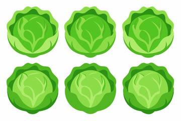 Fresh Green Cabbage Vegetable Icons Set Perfect for Farm Market Branding Design and Food Packaging