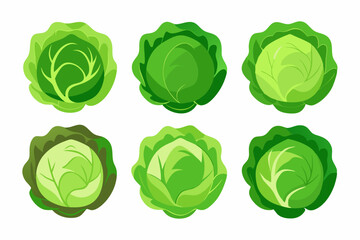 Obraz premium Fresh Cabbage Vector Graphics Pack Ideal for Farm Market Branding Logo Design and Healthy Food Illustrations