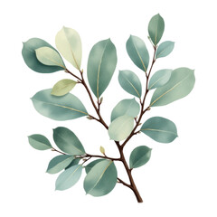 Obraz premium Teal and Green Watercolor Leaves Branch Illustration