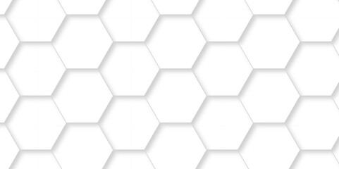 	
Abstract minimal Background with white lines Hexagonal structure futuristic white background and Embossed Hexagon , honeycomb white mosaic cell web ,light and shadow texture design.