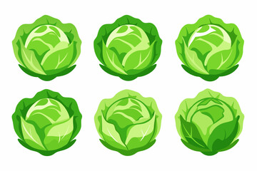 Collection of Colorful Green Cabbage Illustrations Six vibrant illustrations cabbages displayed grid pattern cabbage vegetables food illustration green healthy fresh organic plant produce design image