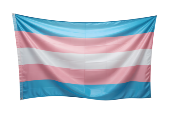Transgender Pride Flag showing A Symbol of Identity, Acceptance, and Celebration of Diversity