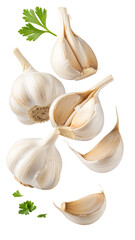 Close up of garlic bulbs and cloves with parsley sprigs floating on a black background space filling