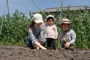 畑作業をする親子
