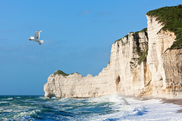 Falaise d'Amont cliff at Etretat, Normandy, France