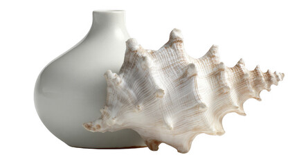Studio shot of a white conch shell leaning against a simple, elegant white ceramic vase, set against a transparent background, creating a minimalist and serene composition