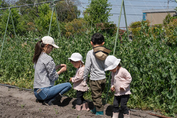 畑作業をする親子