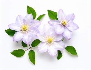 bouquet of flowers