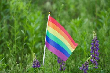 Rainbow Flag LGBT Outdoor on Nature Background. Pride Month. Lesbian Gay Bisexual Transgender. Love, human rights, tolerance