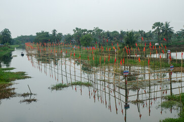 Fish sanctuary in Bagerhat, Bangladesh