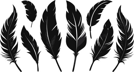 Obraz premium Feather set featuring various bird plume shapes is isolated on a white background for elegant decorative and design applications.
