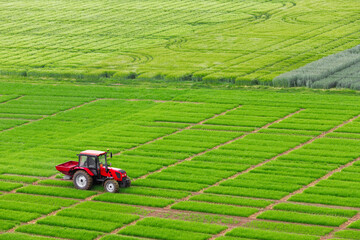red tractor spraying rows of green agriculture farming growth field. top view
