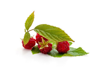 Red berries raspberries.