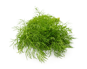 A bunch of fresh dill.