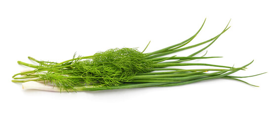 Bunch of fresh dill and green onions.