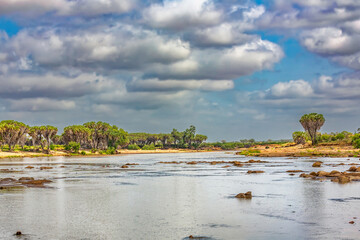 Galana river. Tsavo East National Park. Kenya.