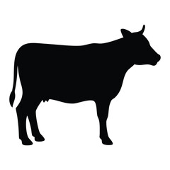Silhouette of a black cow on a white background, black silhouette of a cow,