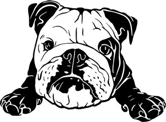 American Bulldog SVG Digital Cut File for Cricut and Silhouette


