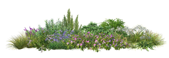 3D render of flowering shrubs on a transparent background	