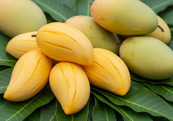 A vibrant display of ripe, yellow mangoes, some peeled and ready to eat, resting on dark green mango leaves, with unpeeled mangoes in the background.