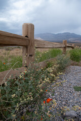 Wood fence with flowers and mountains