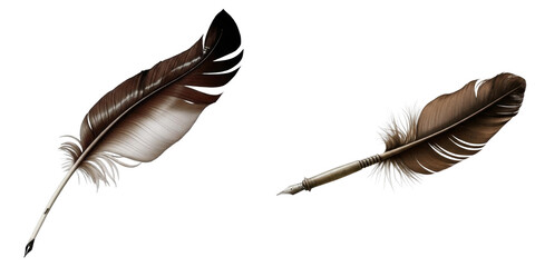 PNG Two brown feathers and a writing quill rest on a transparent background.
