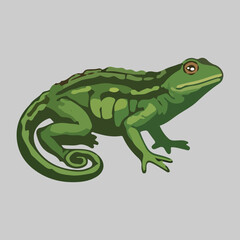 Green Lizard Illustration