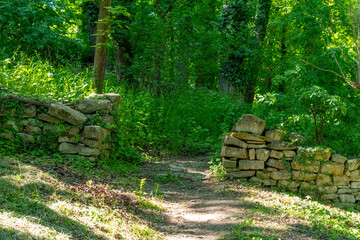 Pathway through a lush green forest reveals ancient stone walls inviting exploration in the sunlight