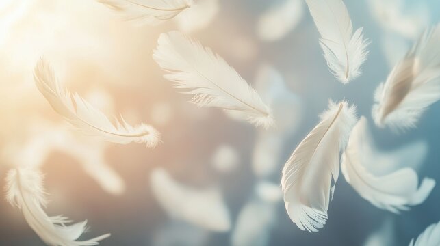 white feather on blue background - Powered by Adobe