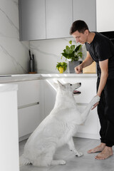 A young man is training a white Swiss shepherd dog in the kitchen. Pets concept. Leisure time with a pet. Dog training.