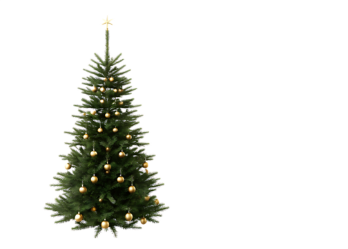 christmas tree with golden ornament  isolated on white background PNG 