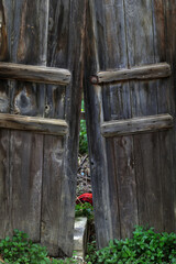 Gloomy Door