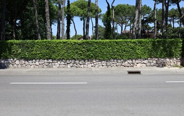 Fence made of low stone wall with hedge on top. Maritime pines, roofs and sky on behind, concrete sidewalk and street in front. Background for copy space.