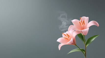 Two pink lilies bloom, soft and graceful, evoking feeling of peace