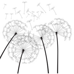 Black vector dandelions. EPS Illustration