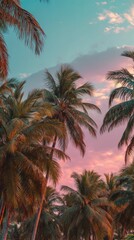 Fototapeta na wymiar Palm trees sunset view