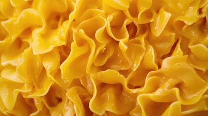 raw pasta background