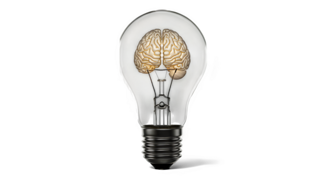 Illuminated Brain Inside a Glass Lightbulb