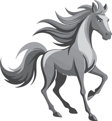 black horse isolated on white