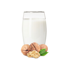 Nut milk in glass and walnuts isolated on white