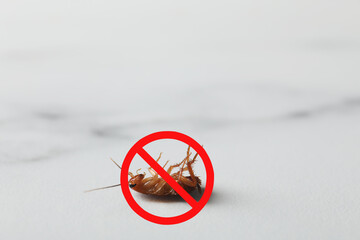 Dead cockroach with red prohibition sign on light surface. Pest control