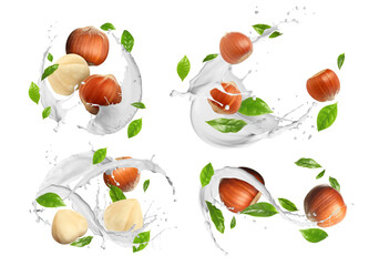 Nut milk splashes with hazelnuts and green leaves in air on white background, collage