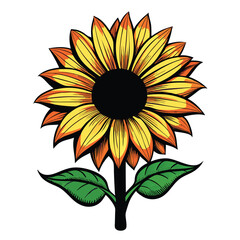 sunflower vector illustration