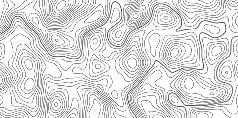 Panorama view gradient multicolor wave curve lines banner background design. Vector illustration. wave Line topography map contour background .Abstract Topographic map background with wave line.